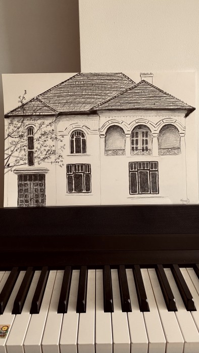 Pictura Desen Grafit, Cǎrbune Iorga 12, Braşov