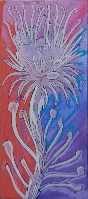 Pictura Dandelion