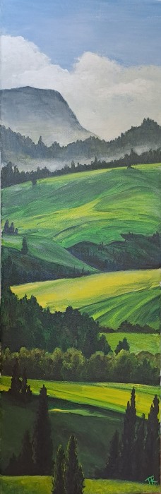 Pictura Coline
