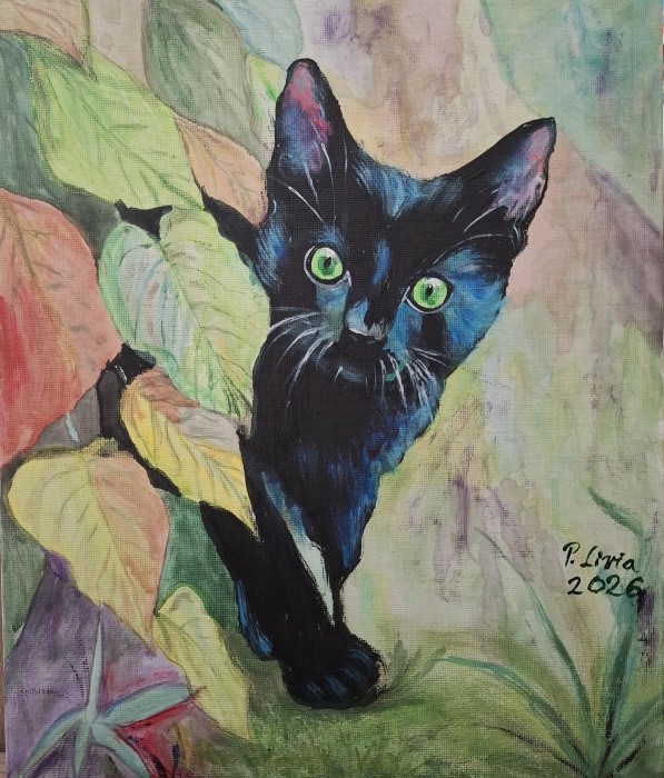 Pictura Pisica Neagra