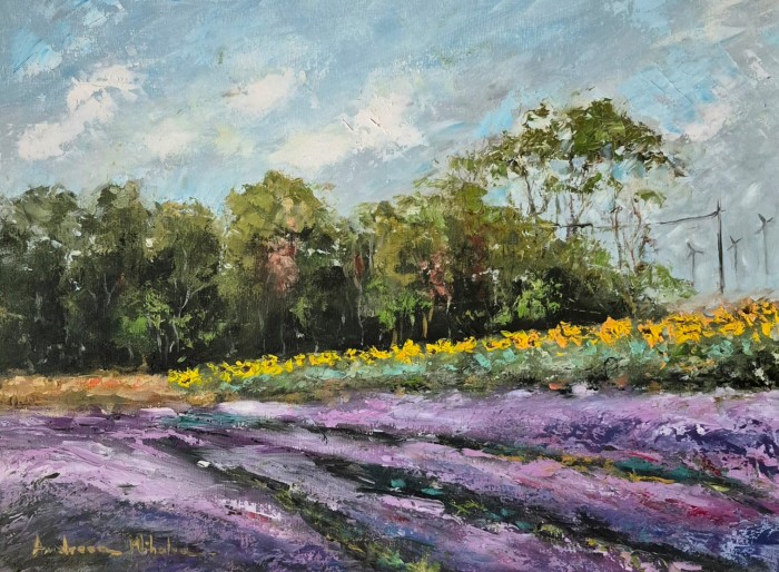 Pictura Vedere Din Campul De Lavanda