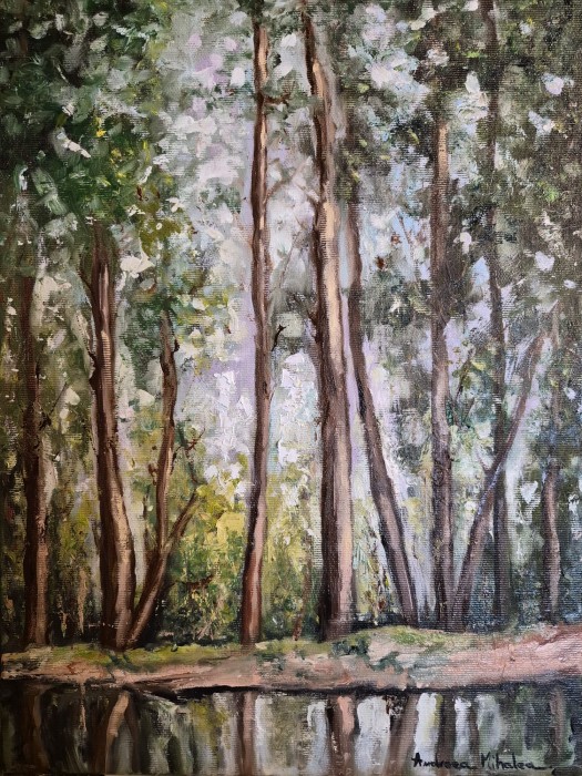 Pictura Luminis Pe Malul Apei