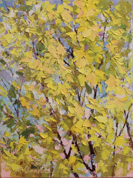 Pictura Forsythia
