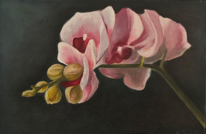 Pictura Orhidee