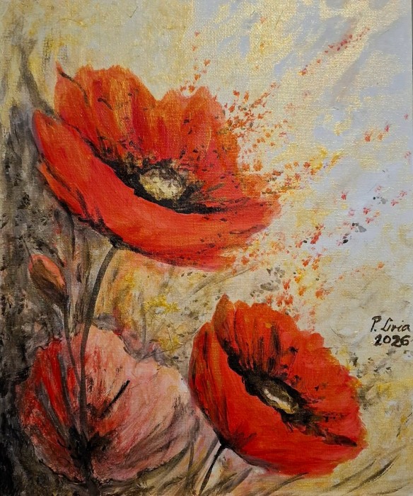 Pictura Sclipire De Maci