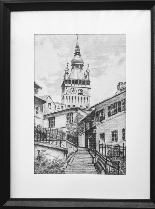 Pictura Sighișoara