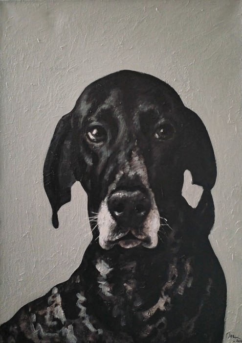 Pictura Portretul Unui Brac German