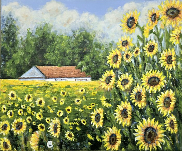 Pictura Sunflowers