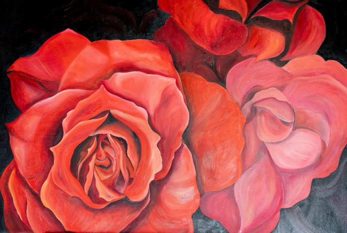 Pictura Dark Cranbbery Rose