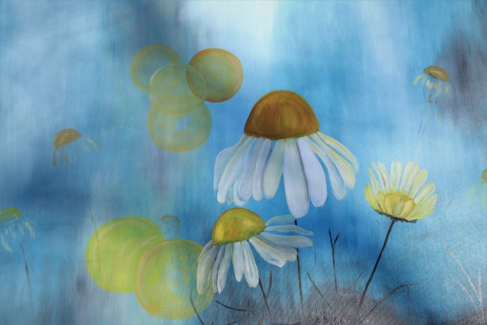 Pictura Lili's Daisies