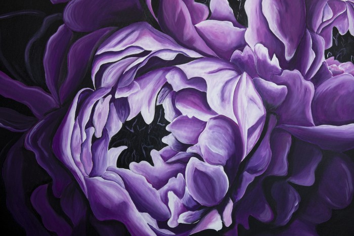 Pictura Purple Peonies