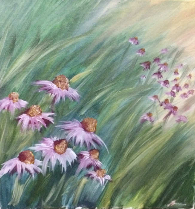 Pictura Echinaceea