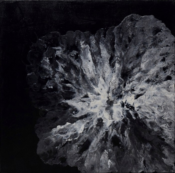 Pictura White Vs Black 02