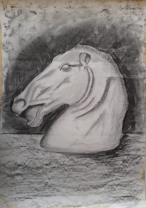 Pictura White Horse 1