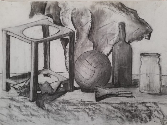 Pictura Natura Din Curte