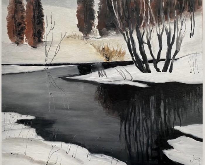 Pictura Lac De Iarna