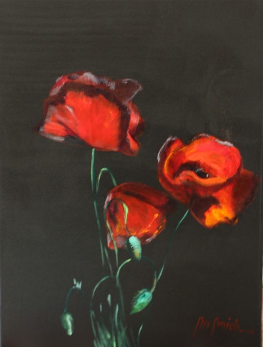 Pictura Maci Zambind In Noapte