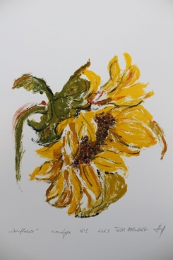 Pictura Sunflower