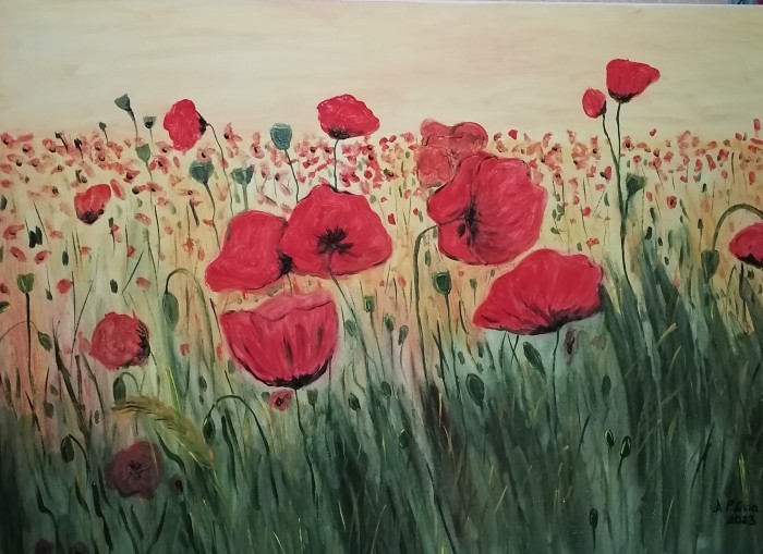 Pictura Maci Pe Camp-Comanda