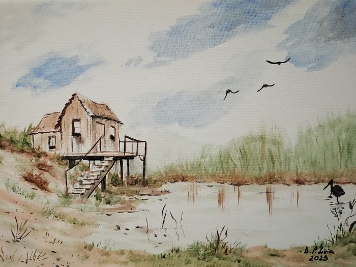 Pictura Casa Din Delta