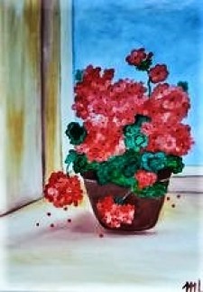 Pictura Muscata Din Fereastra