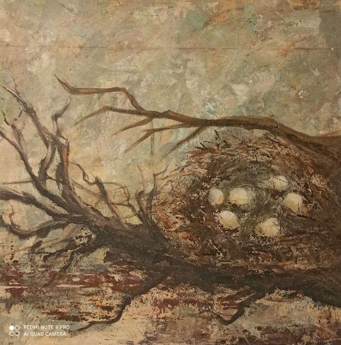 Pictura Ciclu De Viata