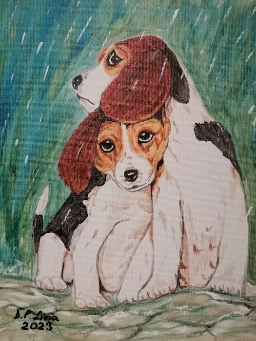 Pictura Catelusi In Ploaie